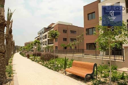 3 29515478-400x300. jpeg