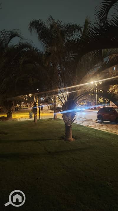 3 Bedroom Apartment for Sale in Madinaty, Cairo - WhatsApp Image 2025-12-20 at 2.43. 19 PM (1). jpeg