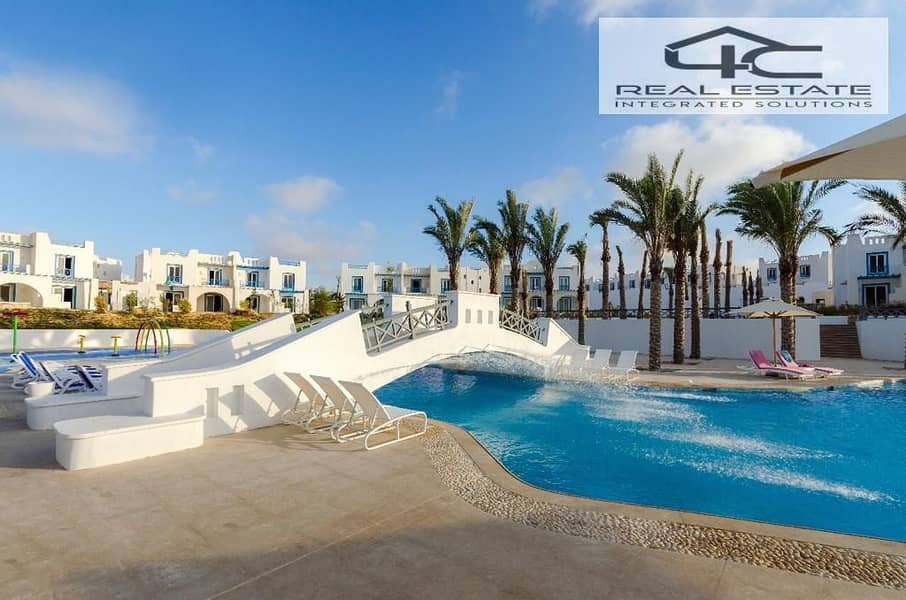 6 499867033_122158646894559992_8892216283151169438_n. jpg