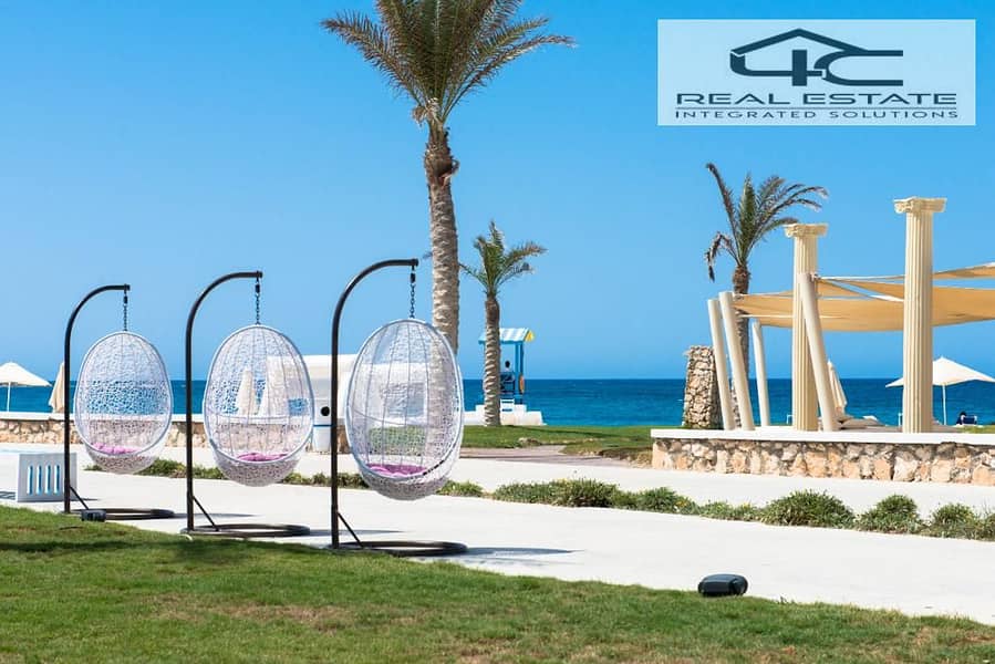 8 499841718_122158640144559992_7309566719270092704_n. jpg