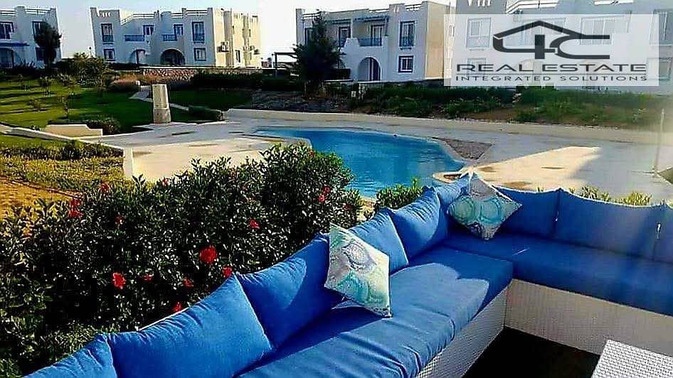 11 489927587_10171016395595591_8003242481640690599_n. jpg