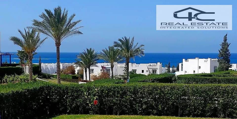 12 489927543_10171016395615591_1235982280402633564_n. jpg