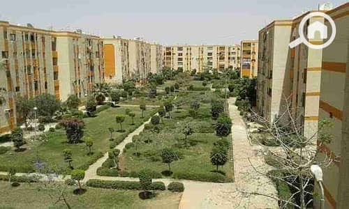 عيادة  للايجار في القاهرة الجديدة، القاهرة - 1000521518. jpg