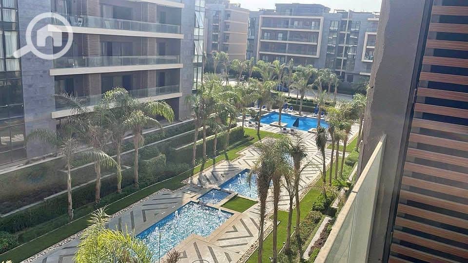 3 552288446_1148448193876383_6225673304739853525_n. jpg