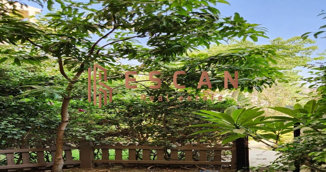 9 d6922d21-7c92-4d3d-a0e0-ef4086fbb01d. jpg