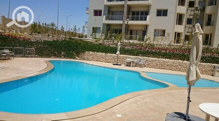 7 DSC_0057_resized_20170424_012946577. JPG