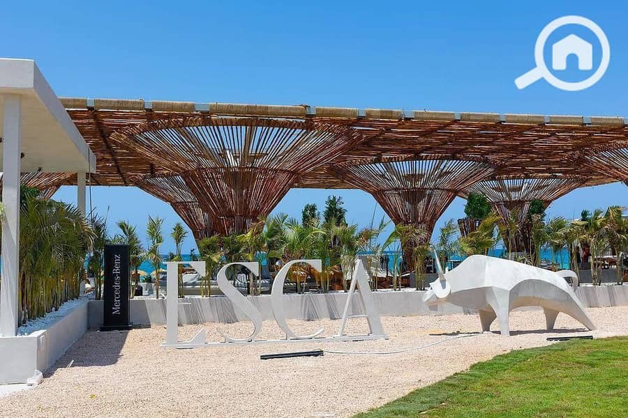 8 WhatsApp Image 2025-09-02 at 4.47. 00 PM (3). jpeg