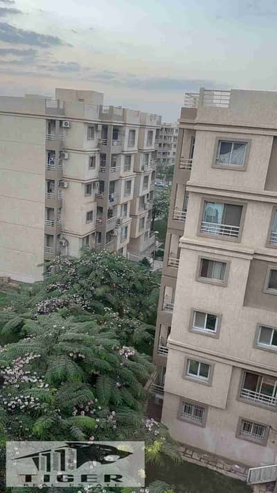 3 Bedroom Flat for Sale in Madinaty, Cairo - 1000588782. jpg