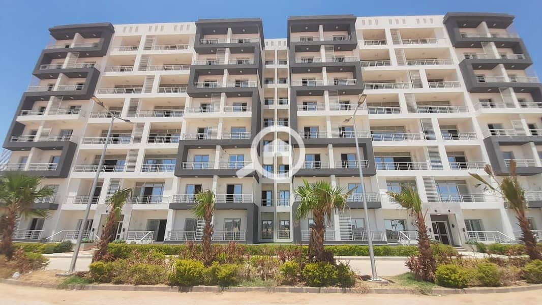 3 WhatsApp Image 2025-05-22 at 14.19. 37. jpeg