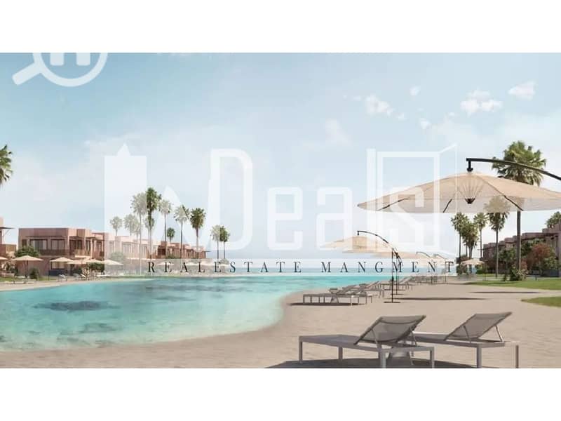 11 seashell-ras-el-hekma_1. jpg