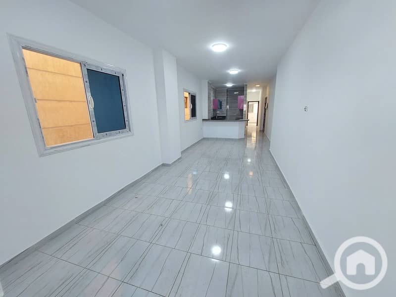 5 20251026_143602. jpg