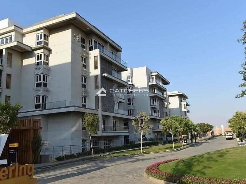 3 f810a258-ff77-4927-ba58-45cf195cb48a. JPG