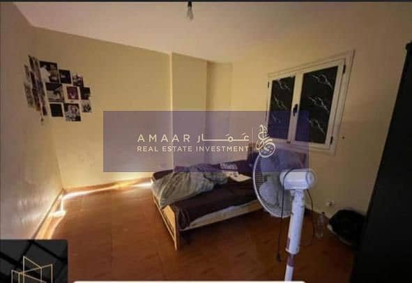 3 photo_5888547321740463053_x. jpg