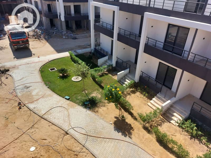 17 20251026_133336. jpg