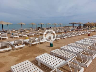 2 Bedroom Apartment for Sale in Hurghada, Red Sea - 20241121_120204. jpg