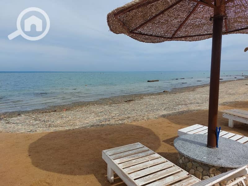 3 20241121_120254. jpg