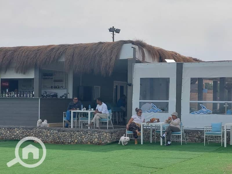 4 20241121_120406. jpg