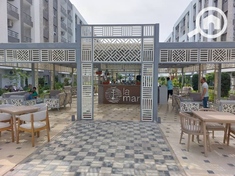 7 20241121_120636. jpg