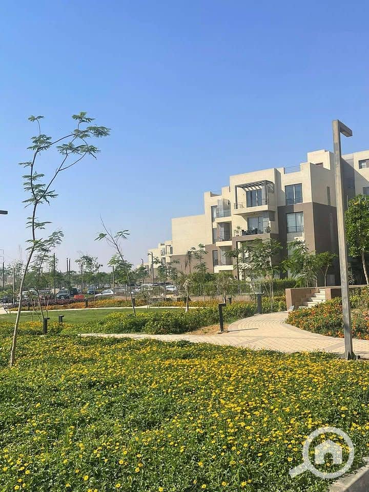 9 556129612_1299802384958579_1095412627195927462_n. jpg