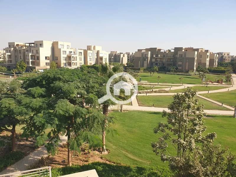 10 589547513_1374518764083706_1887139566257443244_n. jpg