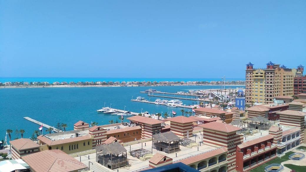 11 8afb6e90-7d3e-48cf-a376-618e8ba321b8. jpg