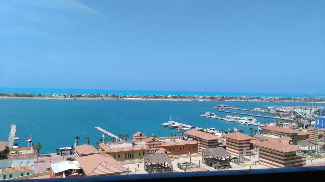 14 1b368603-7cdf-4f4d-8167-c5fded6136cb. jpg