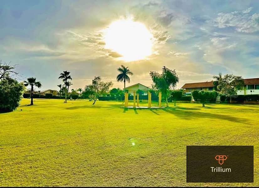 14 508475855_24379075415033143_8266574853314309006_n. jpg