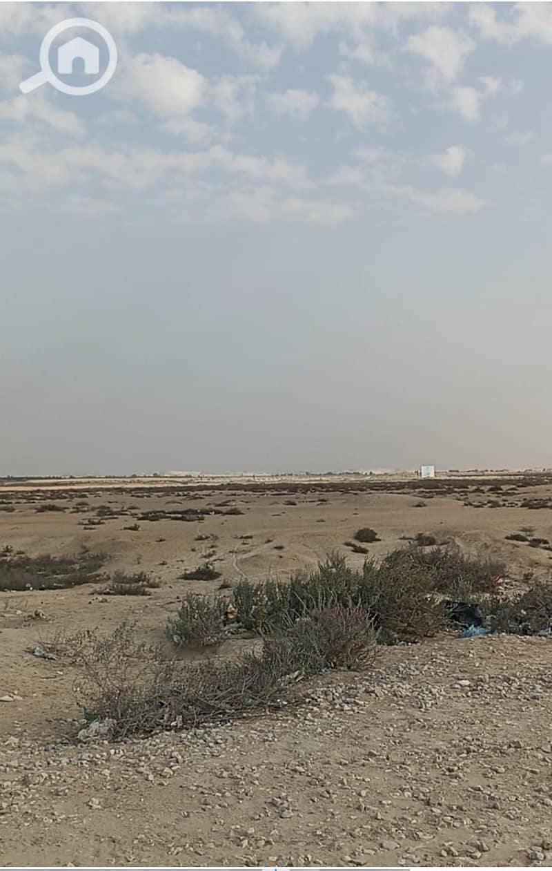 3 WhatsApp Image 2025-12-21 at 9.52. 42 PM. jpeg