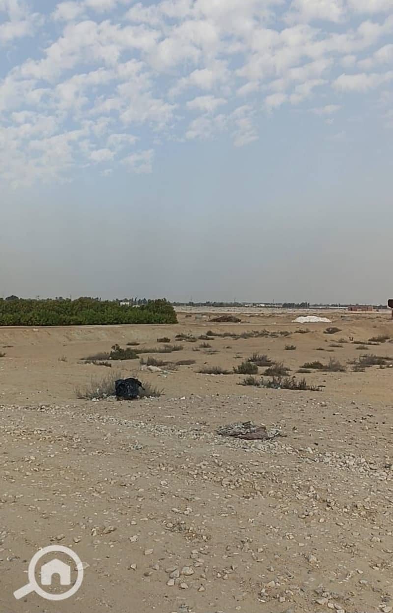 4 WhatsApp Image 2025-12-21 at 9.53. 17 PM. jpeg