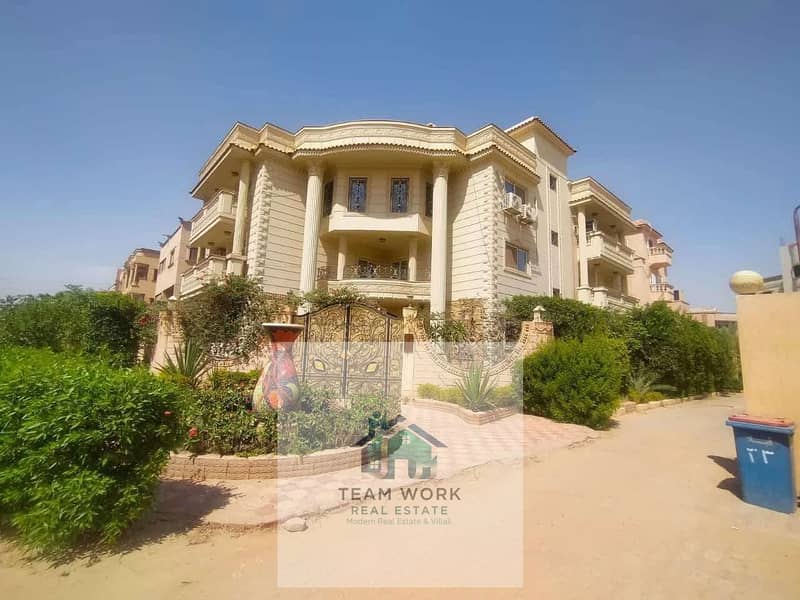 3 5f580ae1-e1cb-40b8-b555-707754ed82ff. jpg