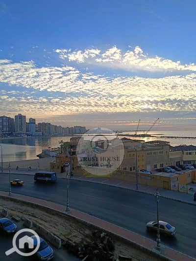 2 Bedroom Flat for Sale in Miami, Alexandria - WhatsApp Image 2025-12-21 at 15.51. 06 (2). jpeg