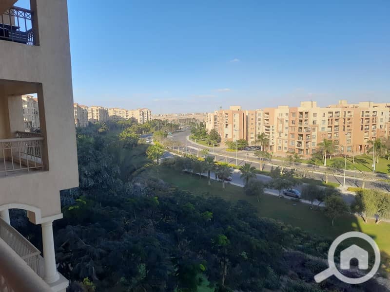 11 ace752c3-fbe6-4937-be7a-db646fea397f. jpg