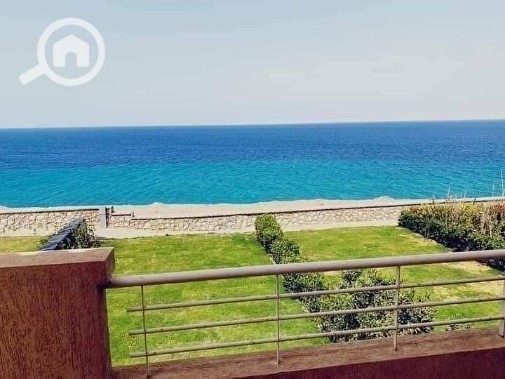 3 7d6fed9b-2493-4156-92a7-220c758d2a45. jpg