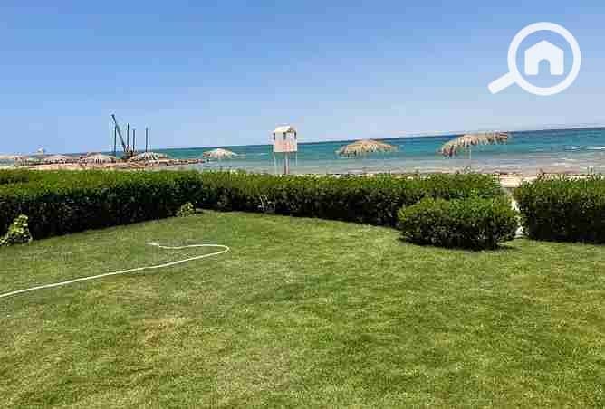 3 3375109-0d1e3o (1). webp