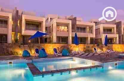 8 4224445-f4b92o. jpg