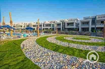 11 4224445-b7ea5o. jpg