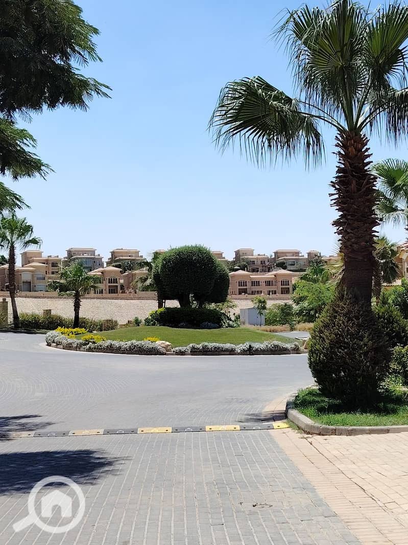 4 photo_2025-07-17_11-50-00. jpg