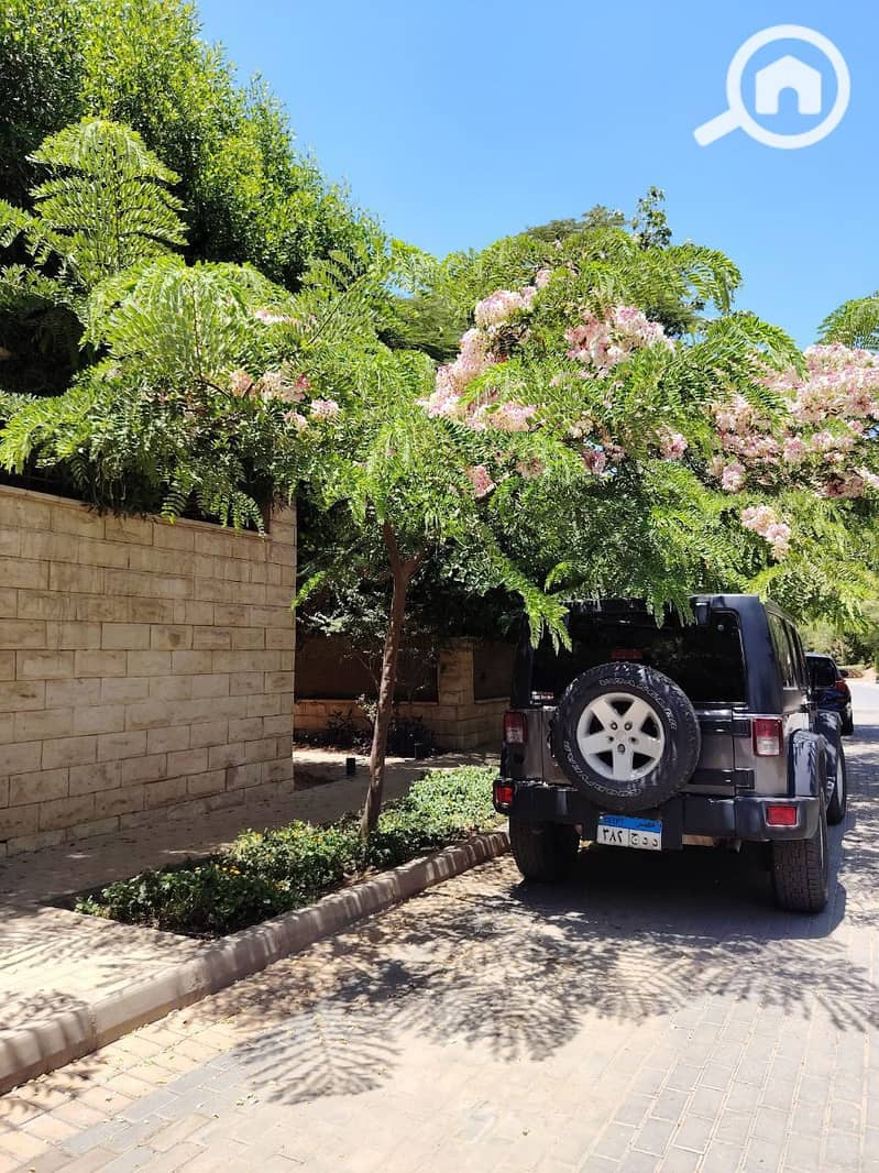 7 photo_2025-07-17_11-42-20. jpg