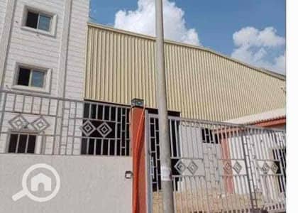 Factory for Rent in Amreya, Alexandria - IMG_0294. jpg
