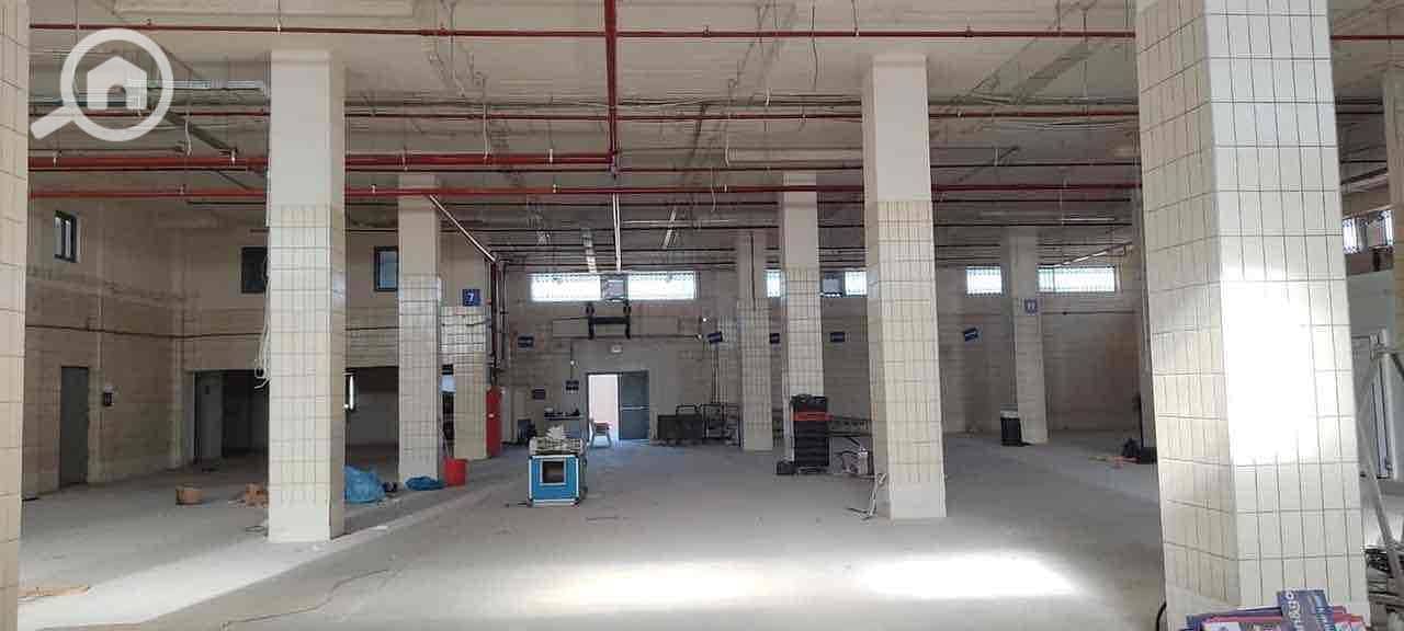 4 f7777705-6077-49bc-878f-5185fcc16c6d. jpg