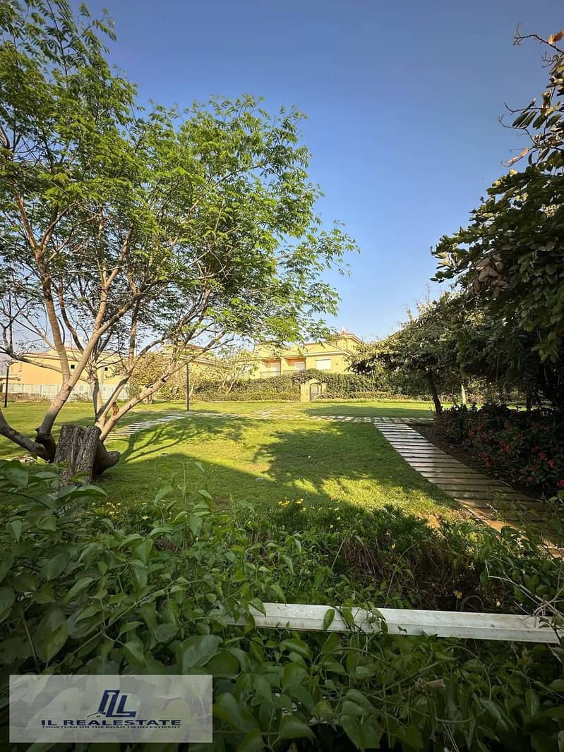 5 596943694_881185581088880_2116501914255451198_n. jpg