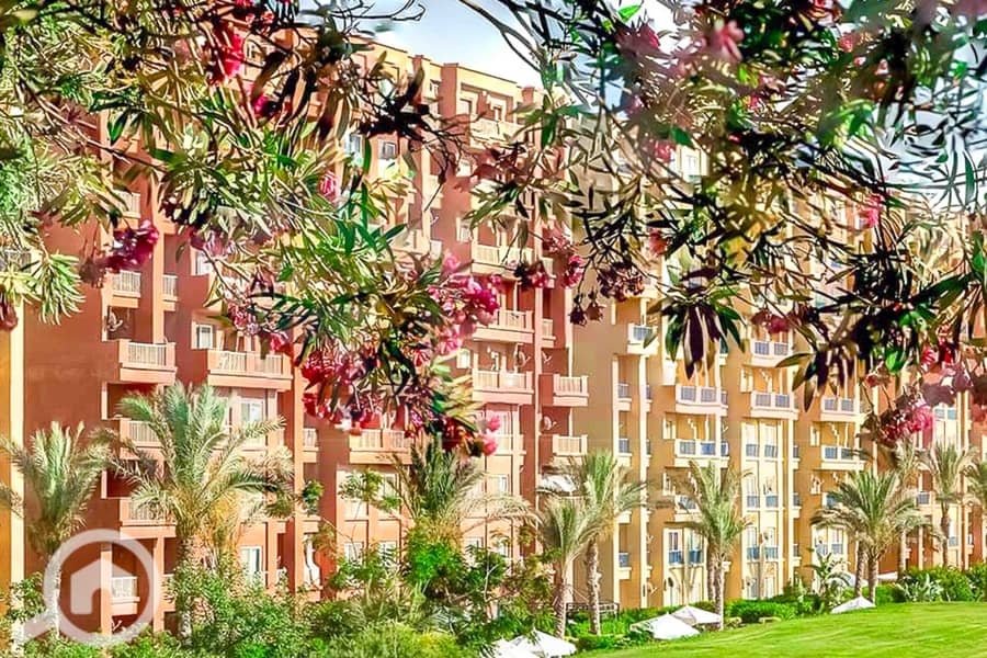 12 WhatsApp Image 2025-05-06 at 12.31. 23 PM (1). jpg