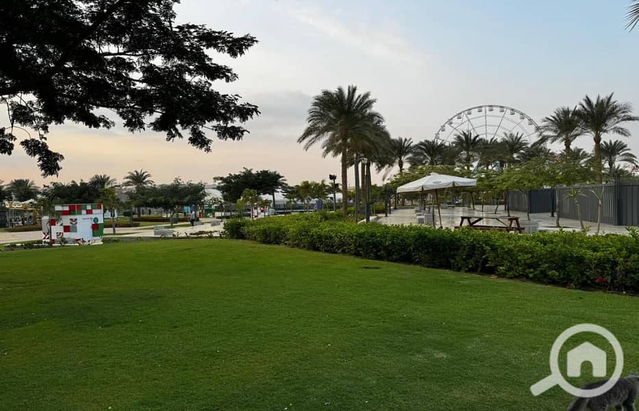 4 WhatsApp Image 2025-01-30 at 1.06. 06 PM. jpeg