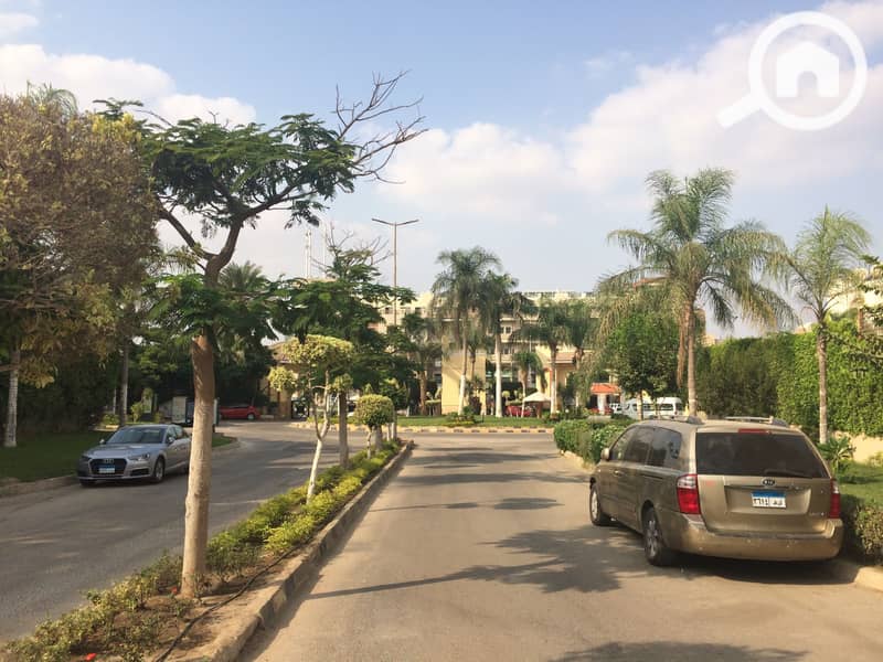 5 IMG_0970 - Copy. JPG