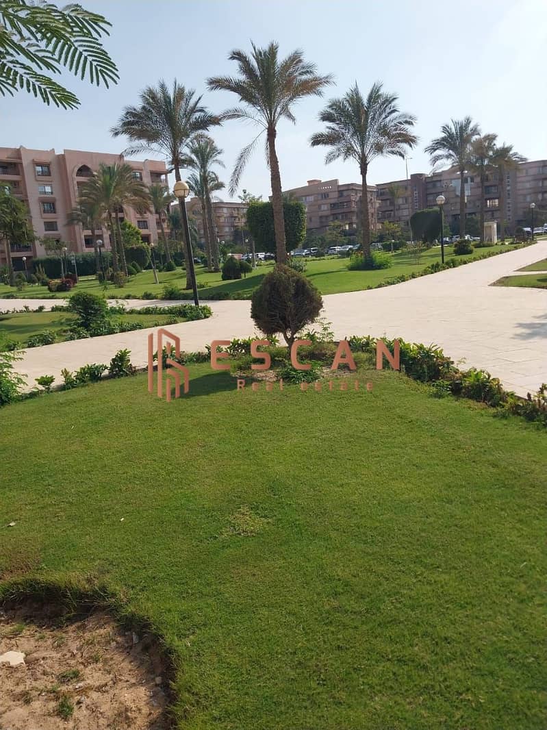 2 395148154_244209631969000_656189720560456240_n. jpg