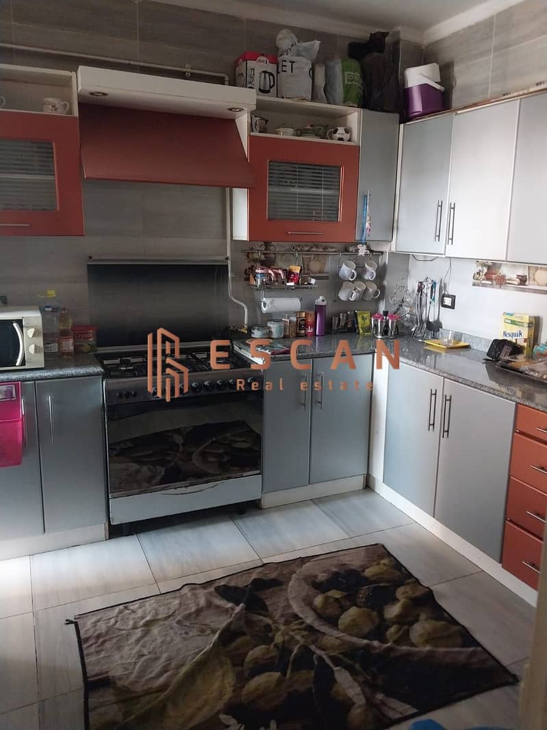 4 395199118_244209471969016_7853981635886549067_n. jpg