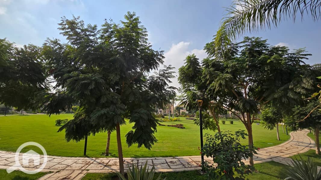 11 46f53e62-953a-4db5-910d-e33f98afa28a. jpeg