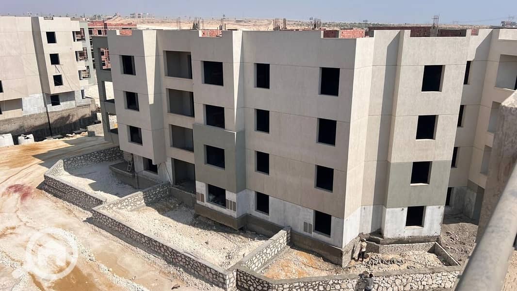 7 WhatsApp Image 2024-11-03 at 11.39. 58 AM. jpeg