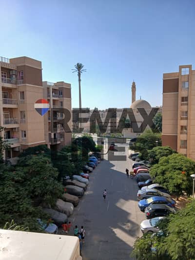 2 Bedroom Flat for Sale in Madinaty, Cairo - WhatsApp Image 2025-12-22 at 12.07. 54 PM. jpeg