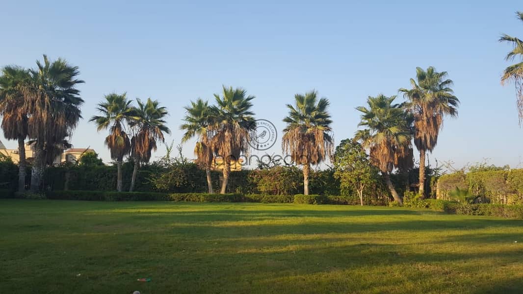 11 WhatsApp Image 2025-12-22 at 11.14. 30 AM. jpeg